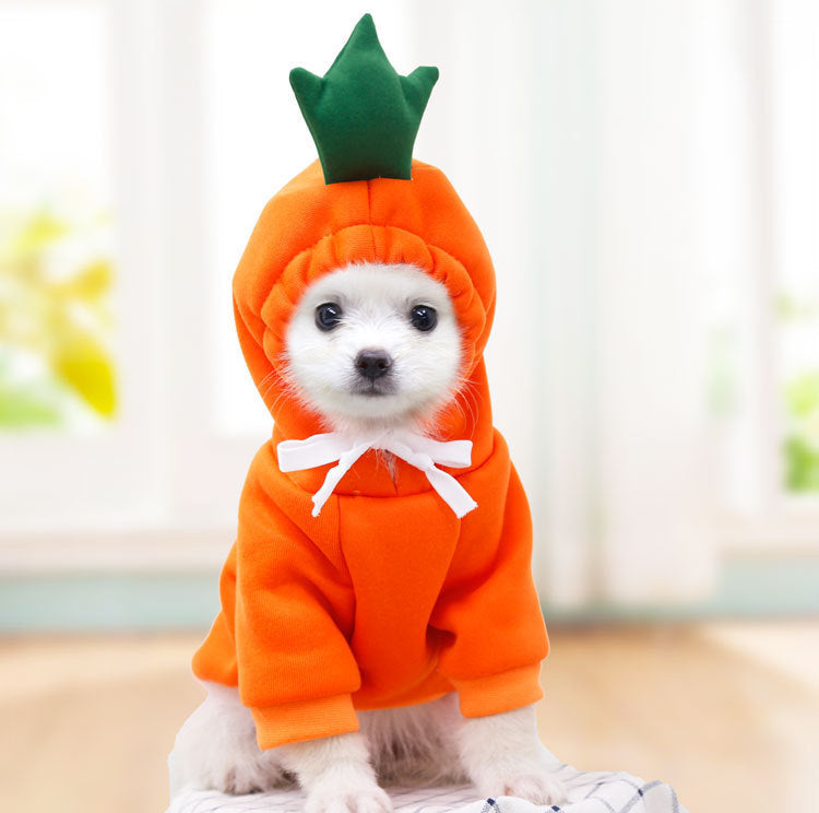 Kaba Studio™ Pet Winter Hoodie – Cute Warm Costume for Dogs